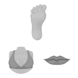 isolated object body and part logo set vector image