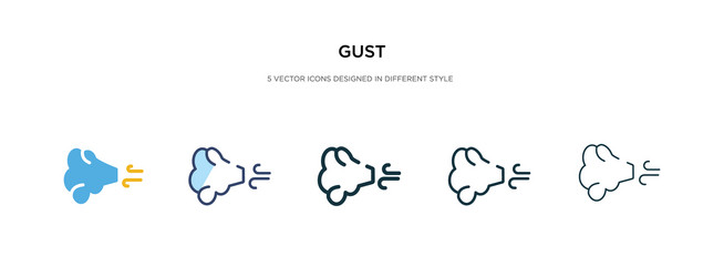 gust icon in different style two colored vector