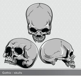 Skull Motif Collection Vector Image