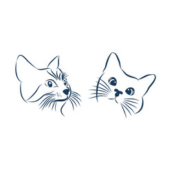 curious cat hides and peeps sticker on a car Vector Image