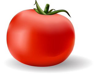 Red ripe tomato Royalty Free Vector Image - VectorStock