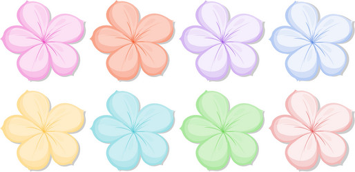 eight five-petal flowers in different colors vector