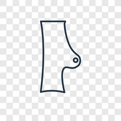 arm concept linear icon isolated on transparent vector image