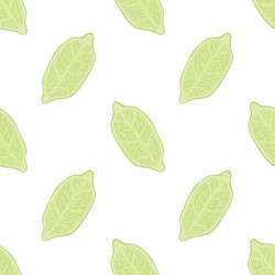 seamless pattern in minimalistic style with lemon vector image