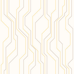 abstract seamless pattern with lines vector image