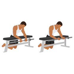 man doing barbell reverse wrist curl on a bench vector image
