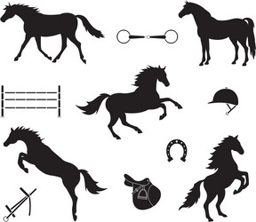 Horse and Equestrian Equipment Icons Vector Image