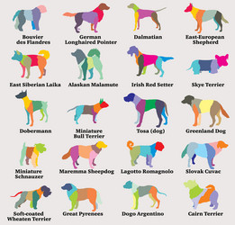 set of colorful mosaic dogs silhouettes-8 vector