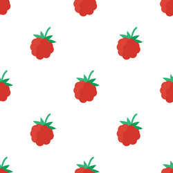 seamless pattern with raspberry vector image