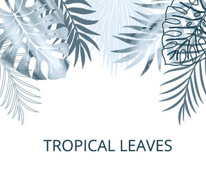 tropical blue-06eps Vector Image