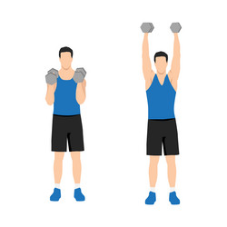 Man doing seated dumbbell overhead shoulder press Vector Image