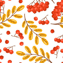 seamless pattern of rowan with berries image vector image