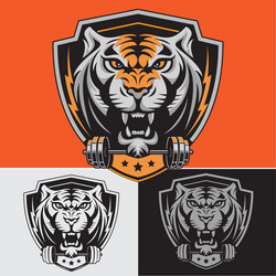 tiger face logo rear view element Vector Image
