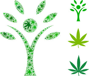 Eco man collage of marijuana vector