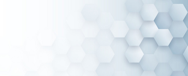hexagon abstract background with simple polygonal vector image