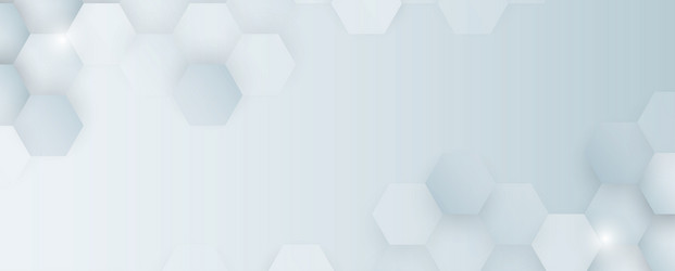 hexagon abstract background with simple polygonal vector image