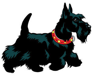 Scottish terrier silhouette Royalty Free Vector Image