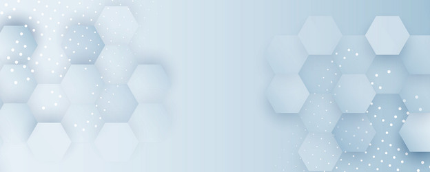 hexagon abstract background with simple polygonal vector image