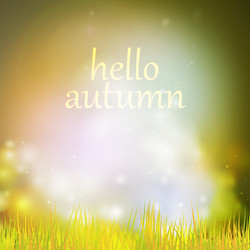 Autumn or summer abstract nature background vector