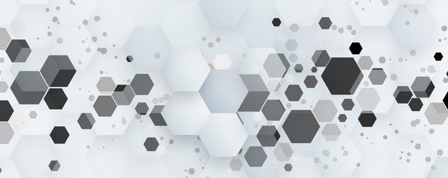 hexagon abstract background with simple polygonal vector image