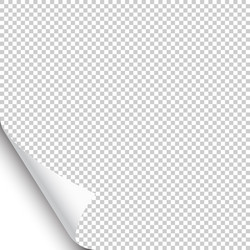 small curled page corner with shadow vector image