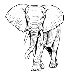 Elephant on sale pencil sketch