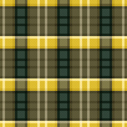 rectangular seamless colorful pattern vector image