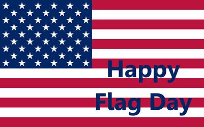 flag united states Vector Image