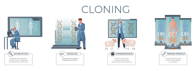 Cloning genetics flat infographics vector