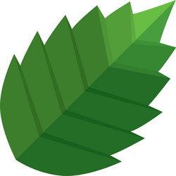 Banana leaf icon cartoon style Royalty Free Vector Image
