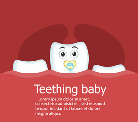 teething baby banner with tooth vector