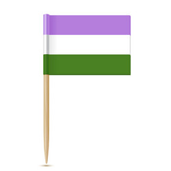 Genderqueer Pride Toothpick Flag Vector Image