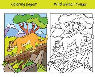 coloring book page and color template cougar vector