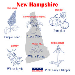 new hampshire set usa official state symbols vector