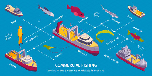 commercial fishing boats infographics vector