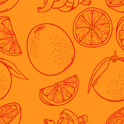 seamless pattern sketch oranges vector image