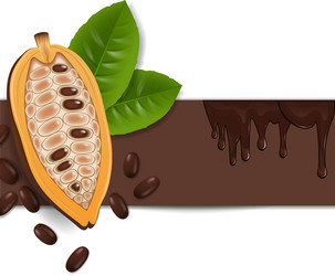 background with cocoa beans vector image