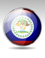 flag button design elements vector image