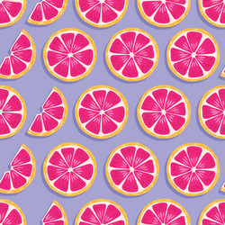 Grapefruit Slice Pattern vector image