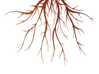 Tree roots Royalty Free Vector Image - VectorStock