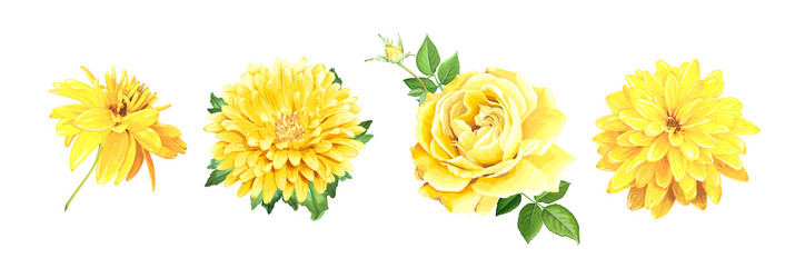 Yellow Floral Collection Vector Image