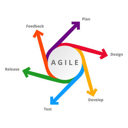 agile diagram with elements for development vector image