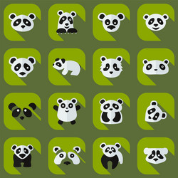 flat concept set modern design with shadow pandas vector image