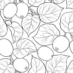 kiwi branches pattern on white background vector image