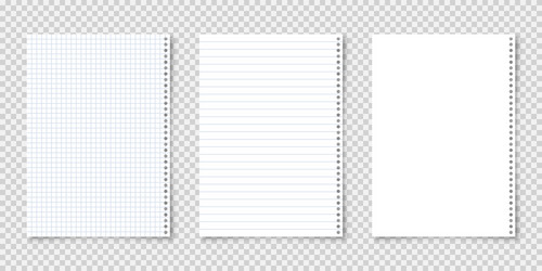 realistic blank lined paper sheets in a4 format vector image