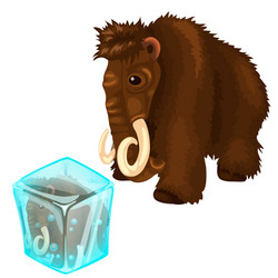 Shaggy mammoth and it copy frozen in ice cube vector