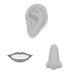 design body and part icon set vector image