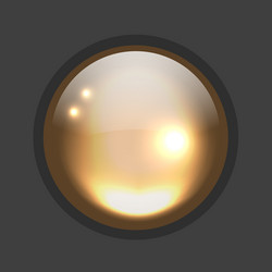 glossy circle button for your design vector image