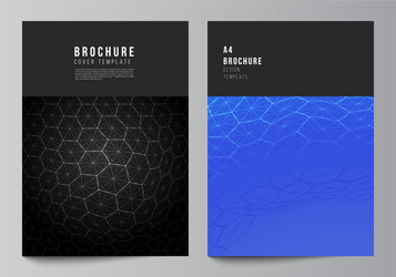 layout a4 format cover mockups design vector image