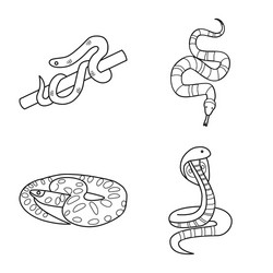 snake and creepy icon vector